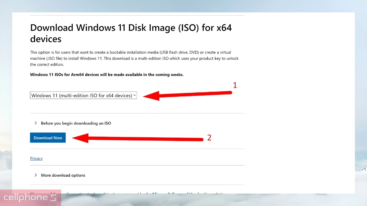 Chọn bản cài Windows 11