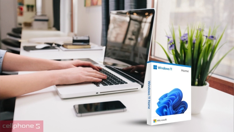 Giao diện Phần mềm Windows 11 Home