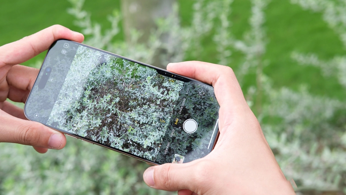 Smart HDR 5 và xử lý ảnh bằng AI