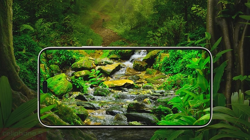 Màn hình điện thoại Honor X50i Plus