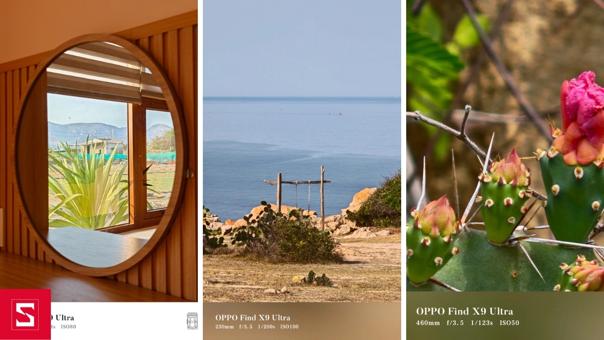 Hình ảnh thực tế được chụp bởi camera OPPO Find X9 Ultra f/3.5, tiêu cự 230mm - 460mm