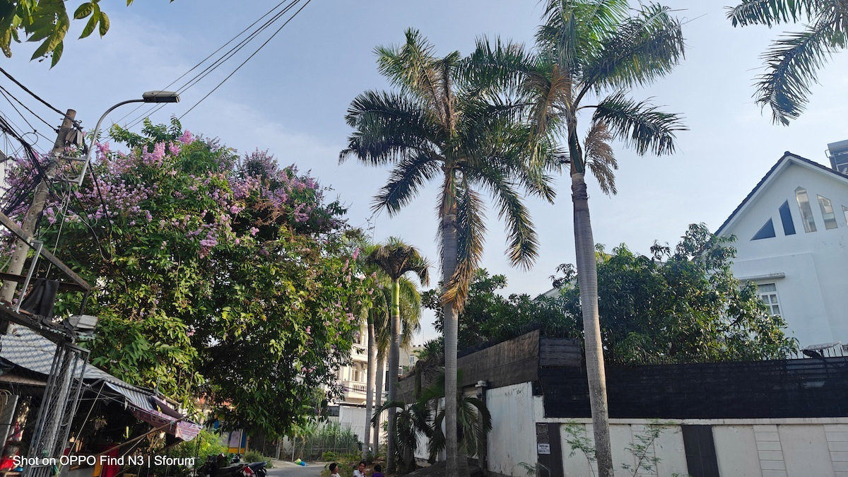 Hình chụp thực tế bằng camera OPPO Find N3