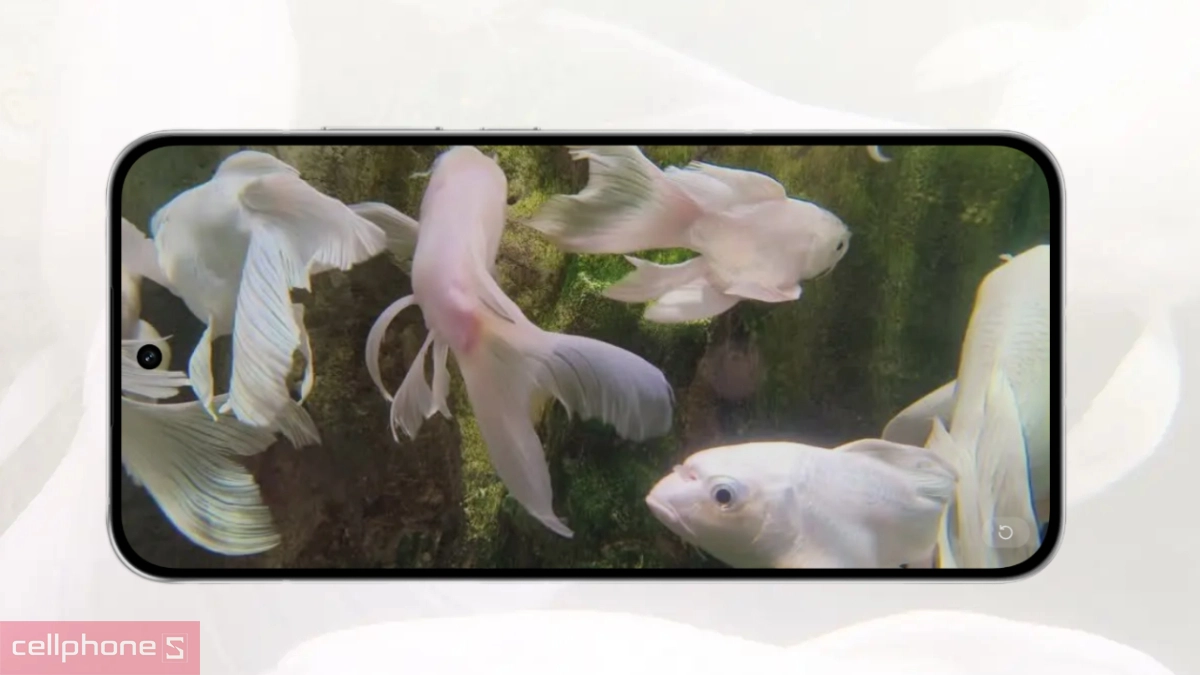 OPPO Reno14 chụp ảnh sống động