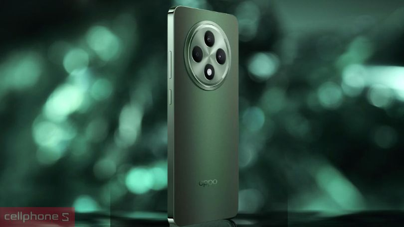 Màn hình điện thoại OPPO Reno12 FS 5G