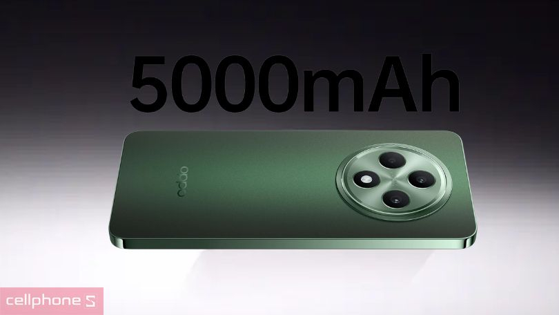 Pin và khả năng sạc của điện thoại OPPO Reno12 FS 5G