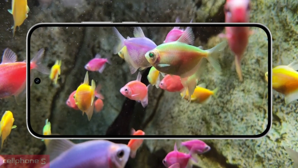 Quay 4K OPPO Reno15 F