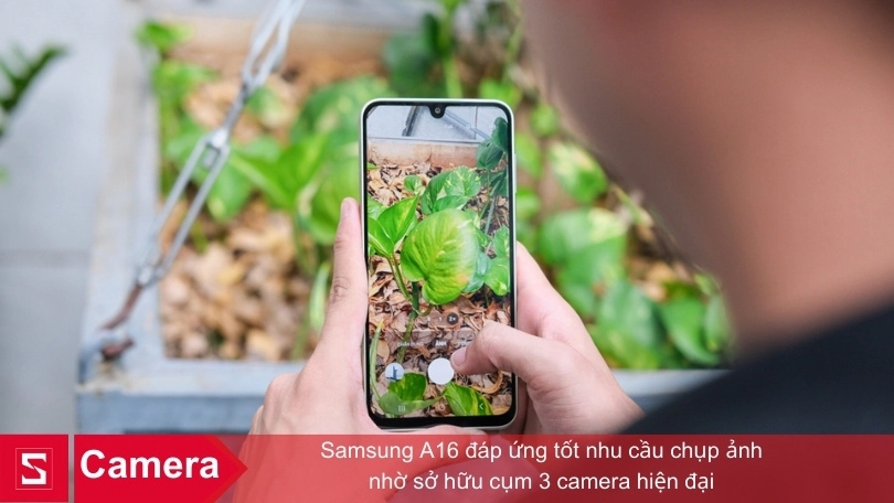 Hệ thống camera linh hoạt