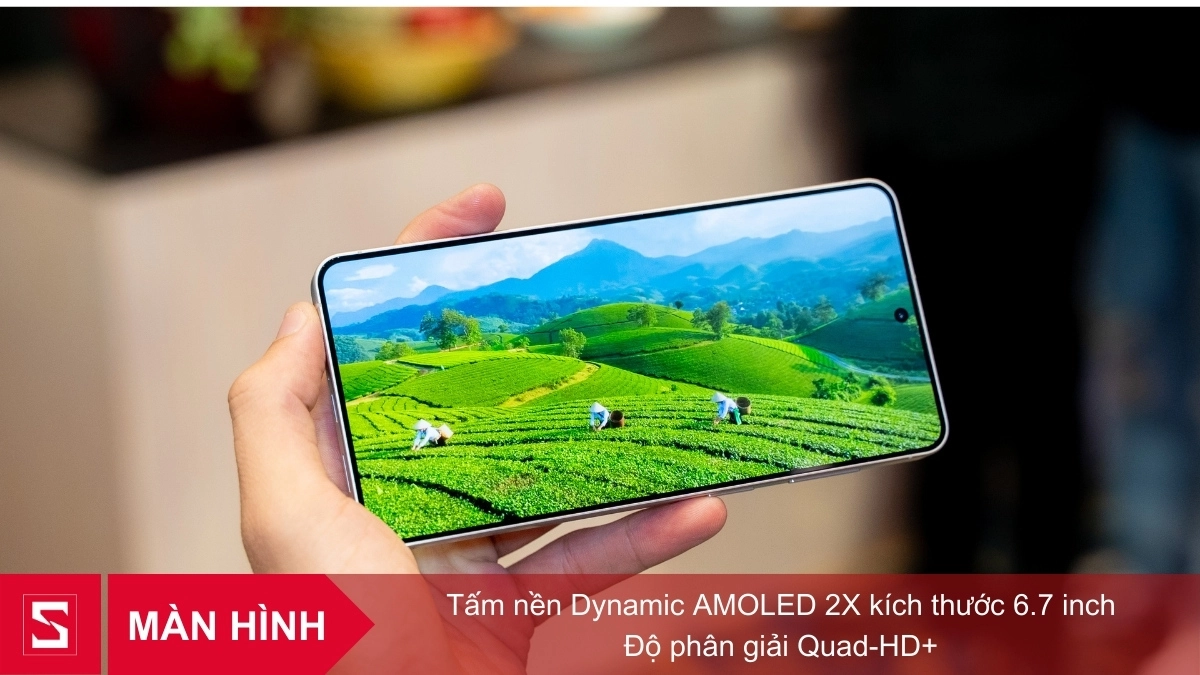 Màn hình Samsung Galaxy S26 Plus