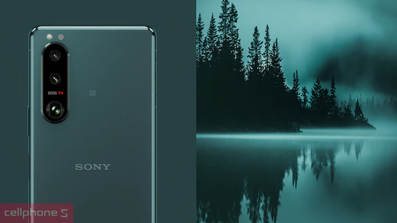 giá bao nhiêu ở Việt Nam?