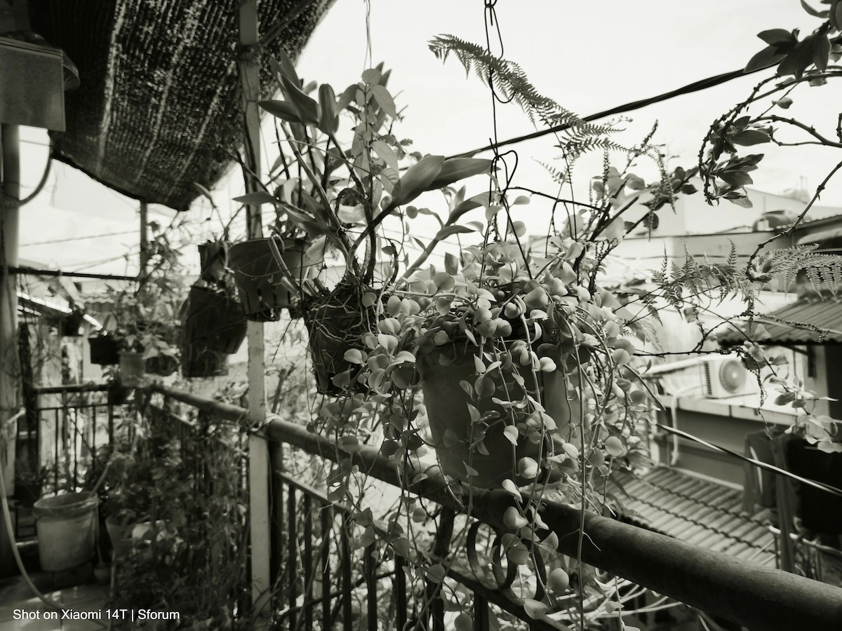 Bộ lọc màu trên Mi 14T