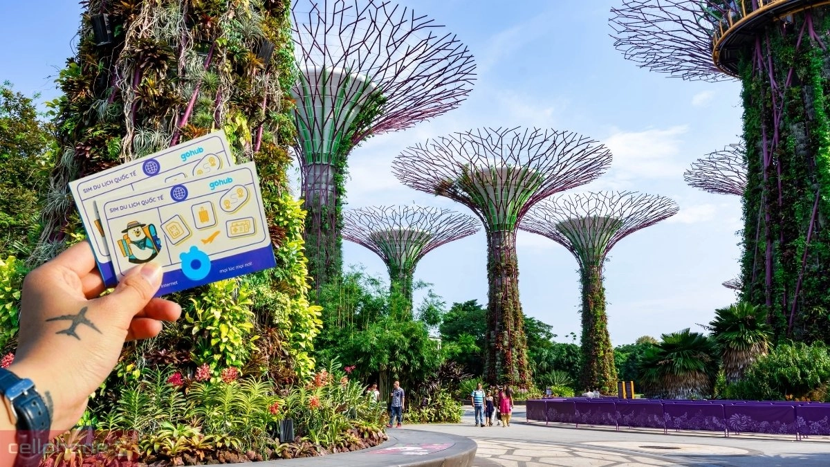 Truy cập Internet với eSIM du lịch GoHub Singapore 2GB - 3 ngày