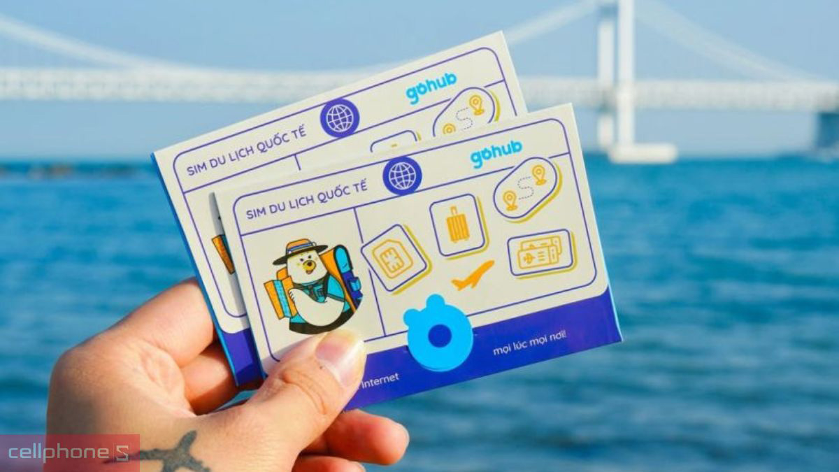 Dung lượng eSIM du lịch Gohub Singapore Malaysia Indonesia 3GB 10 ngày