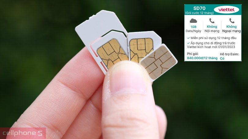 Miễn phí 1 năm, gia hạn rất dễ dàng