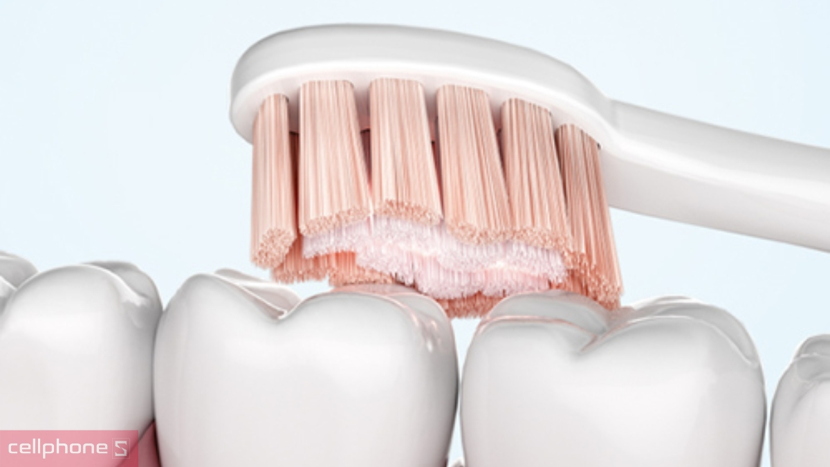 Đa dạng chế độ chăm sóc răng tiện lợi