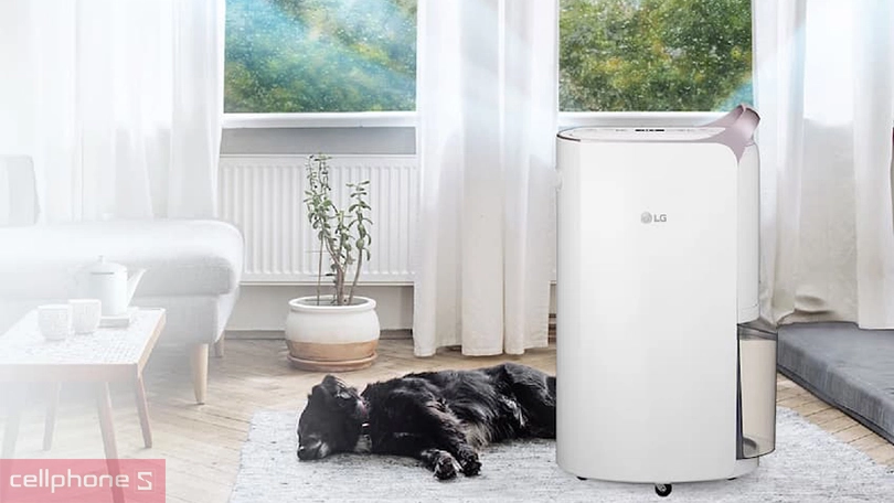 Máy hút ẩm LQ Dual Inverter 19L MD19GQGE0