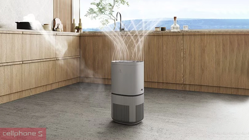 Máy lọc không khí Electrolux EP53-46UGA