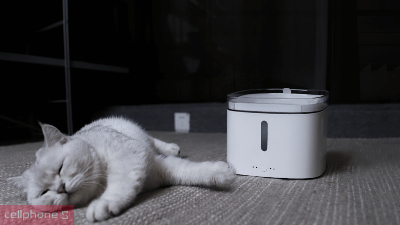 Dung tích chứa 2 lít, đảm bảo nhu cầu nước của thú cưng trong nhiều ngày