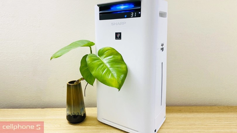 Mua máy lọc không khí tạo ẩm chính hãng, giá tốt tại CellphoneS
