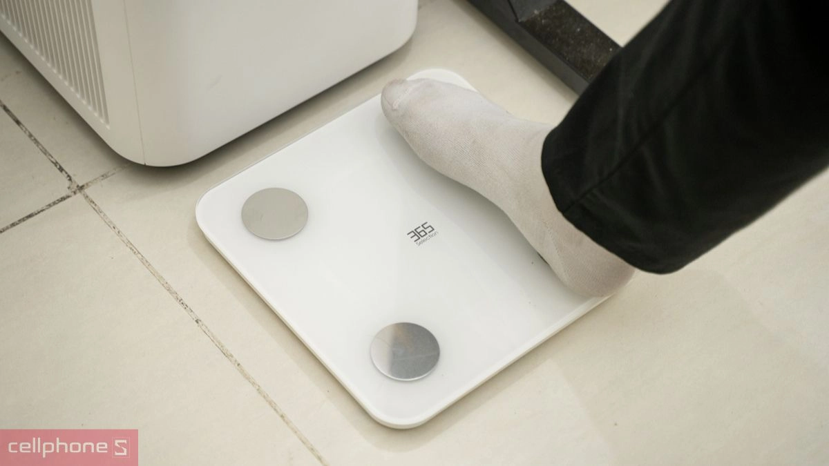 Cân điện tử thông minh 365 Selection WS2 - Đo lường chỉ số sức khỏe chính xác