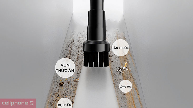 Đa dạng đầu hút