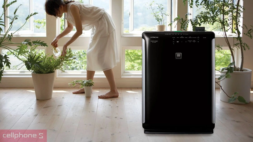Máy lọc không khí tạo ẩm Hitachi EP-A7000 – Tận hưởng bầu không khí ẩm mát, dễ chịu