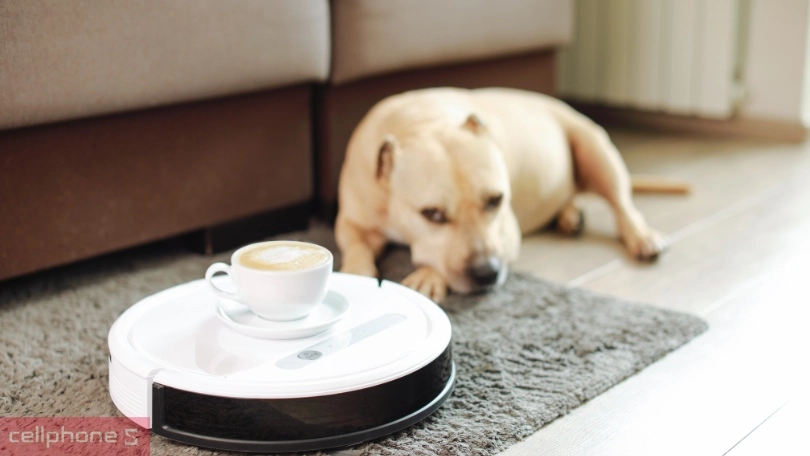 Top các dòng robot lau nhà loại nào tốt nhất hiện nay