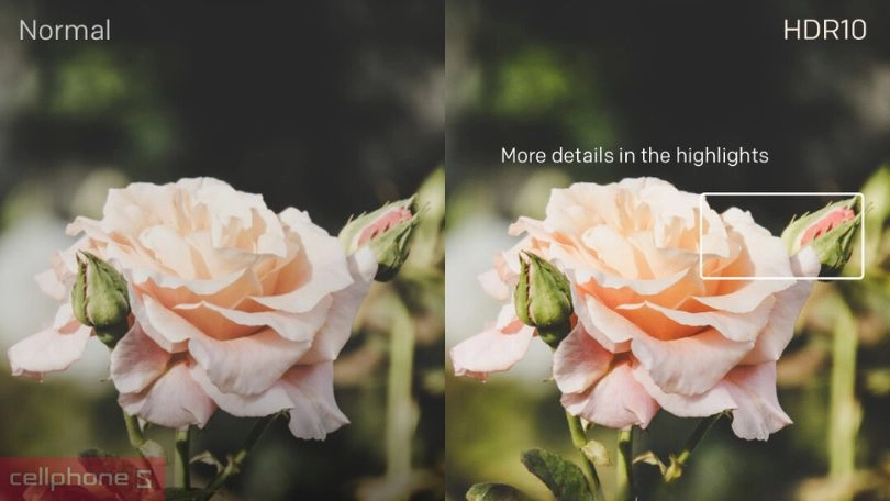 Công nghệ màn hình