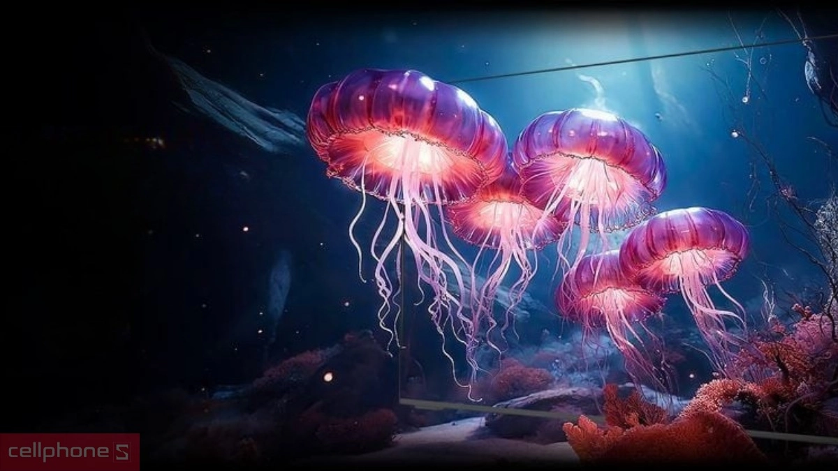 Tivi Coocaa kích thước lớn