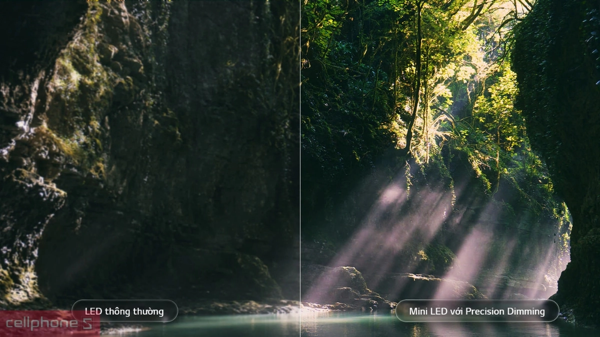 Dynamic QNED Color Pro trên Smart Tivi LG QNED 4K 55 inch (55QNED86BSA)