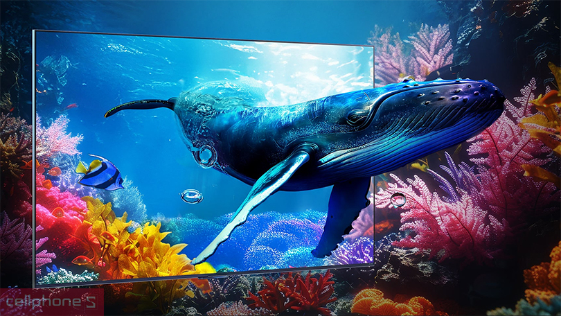 Công nghệ hiển thị của Smart Tivi LG QNED 65QNED9M 4K 65 inch 2025