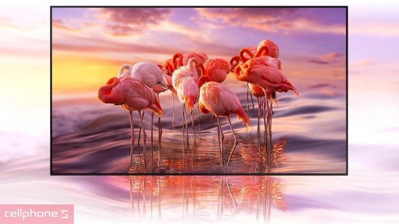 Kích thước tivi LG 75 inch bao nhiêu Kích thước tivi LG 75 inch bao nhiêu