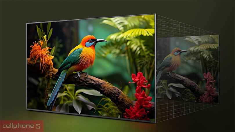 Công nghệ hiển thị trên Smart Tivi LG QNED 75QNED81 4K 75 inch 2025