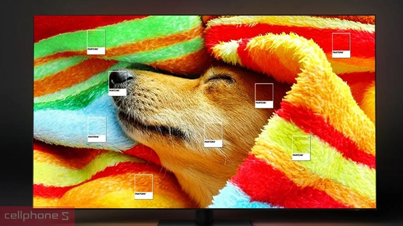 Loại màn hình, tần số quét của smart tivi Samsung QLED 50QE1D 4K 50 inch 2024