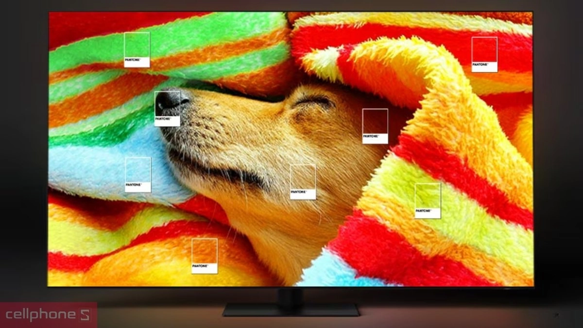 Có nên mua Tivi QLED Samsung 4K 55 inch QA55Q60D không