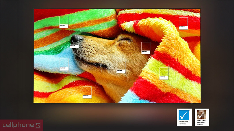 Tấm nền hiển thị và tần số quét của Smart tivi Samsung OLED 65S85F 4K 65 inch 2025