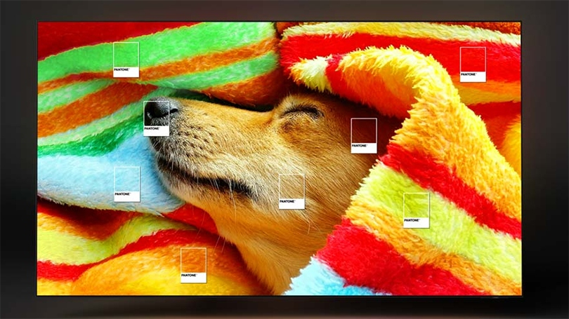 Smart Tivi Samsung OLED QA65S95CA 4K 65 inch – Tận hưởng thế giới giải trí đa sắc màu