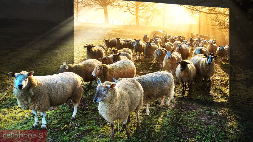 Chọn Diện tích căn phòng phù hợp với tivi Samsung 77 inch