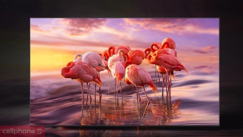 Mua smart tivi Samsung 75 inch chính hãng tại CellphoneS