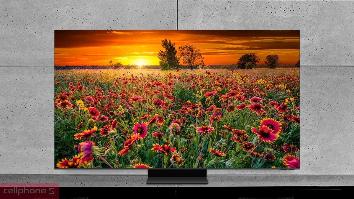 Crystal UHD có khả năng hiển thị dải màu rực rỡ