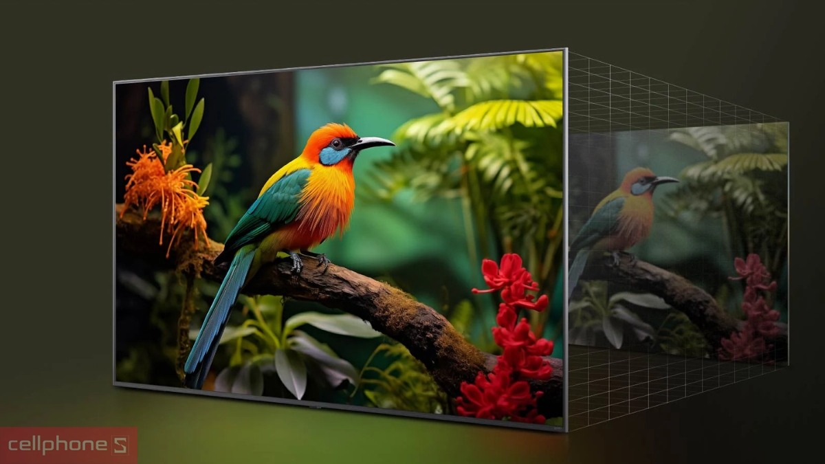 Chất lượng hình ảnh và khả năng hiển thị