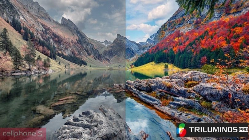 Công nghệ hiển thị của Google Tivi Sony K-55S30 4K 55 inch