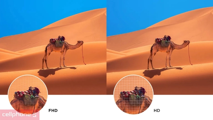 Các công nghệ hiển thị của Google Tivi TCL QLED FHD 32S5K 32 inch 2025