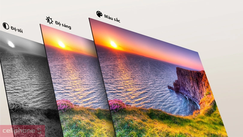 Loại màn hình, tần số quét của Smart Tivi Toshiba 43V31MP 43 inch