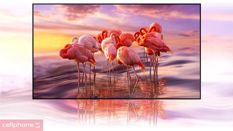 Nên mua TV 43 inch hãng nào, loại nào tốt?