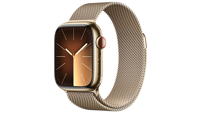 Tính năng Apple Watch Series 9 41mm (4G) viền thép dây thép