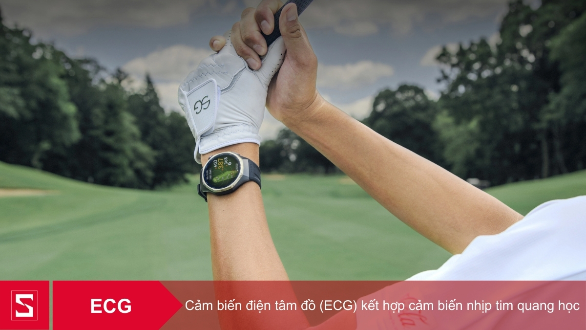 Cảm biến ECG, nhịp tim cùng hệ thống cảm biến toàn diện