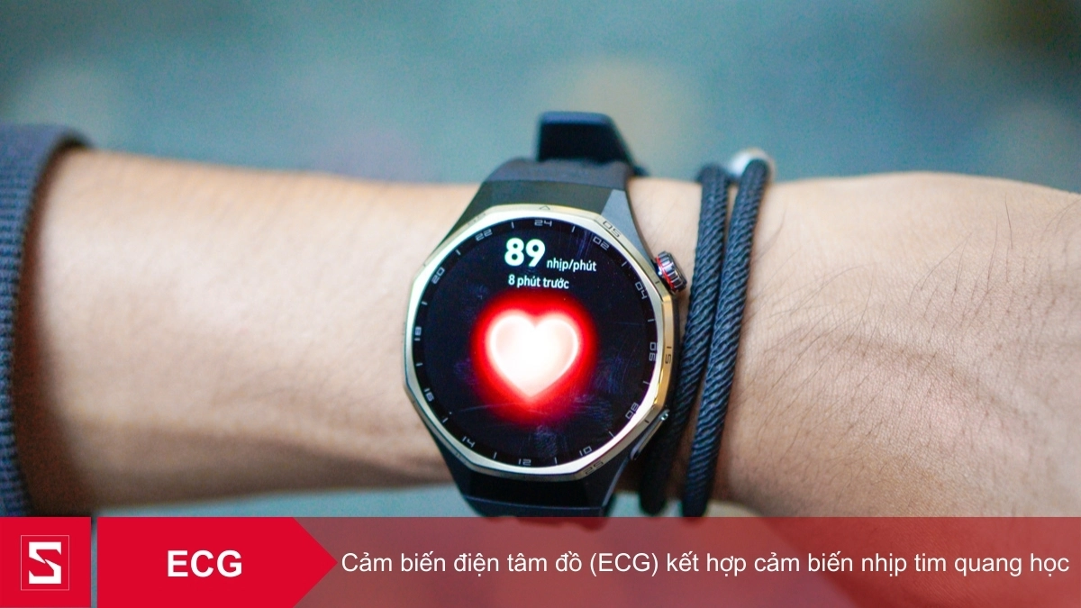 Cảm biến ECG, nhịp tim cùng hệ thống cảm biến toàn diện