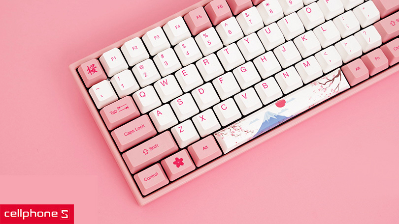 Có nhiều sự lựa chọn về kích cỡ, thiết kế