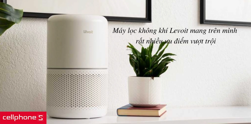 Ưu điểm vượt trội không thể bỏ qua của máy lọc không khí Levoit
