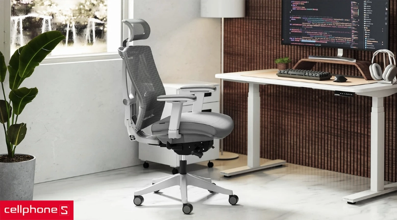 Ghế công thái học